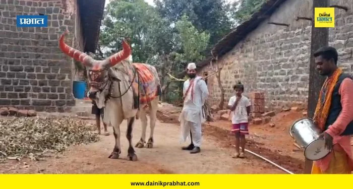 Sangli News : दारातील ‘नंदी’ झाला दुर्मिळ! 18 वर्षांपासून परंपरा जपणारे बारामतीचे गदाई कुटुंब शिराळ्यात दाखल