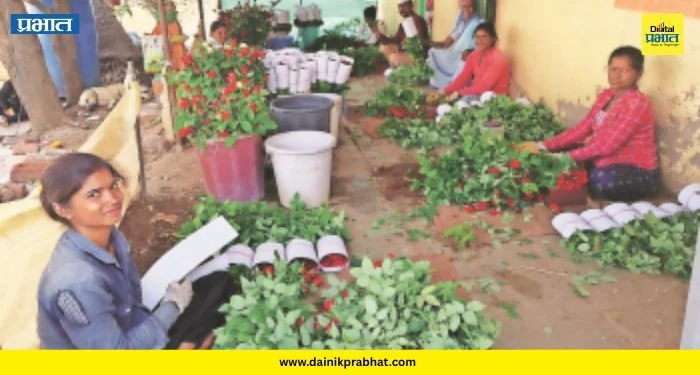 Rose Farming: सातगाव पठारावर गुलाब शेतीचा सुगंध; आधुनिक प्रयोगातून शेतकरी झाला लखपती