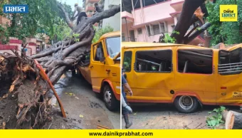 School Bus Accident : मोठी बातमी..! शाळकरी मुलांच्या बसवर झाड कोसळलं; 10 विद्यार्थी जखमी, बचावकार्य युद्धपातळीवर