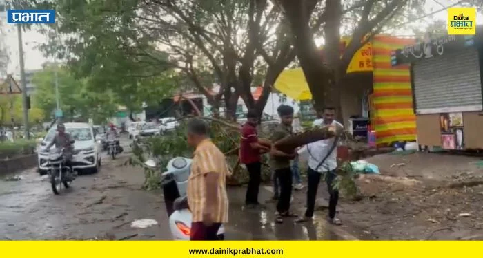 Baramati News : बारामतीत पहिल्याच पावसात दाणादाण! सोसाट्याच्या वाऱ्यासह अनेक ठिकाणी झाडे कोसळली, रस्त्यांना आले तळ्याचे स्वरूप