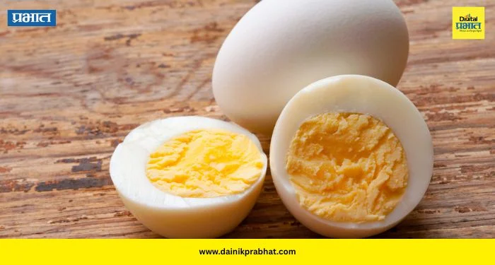 Boiled Eggs: उकडलेल्या अंड्यांची कमाल! दररोज २ अंडी खाल्ल्यास शरीराला मिळतील ‘हे’ जबरदस्त फायदे