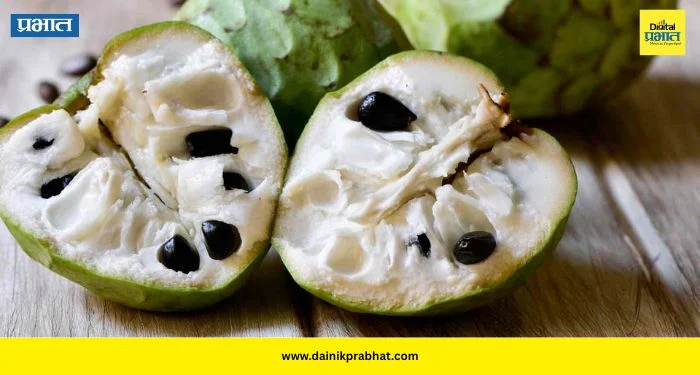 Custard Apple: निसर्गाची गोड देणगी! सीताफळ खाण्याचे फायदे जाणून तुम्हीही व्हाल थक्क
