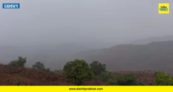 Rain Update : चांदोली परिसरात कोसळल्या पावसाच्या सरी !