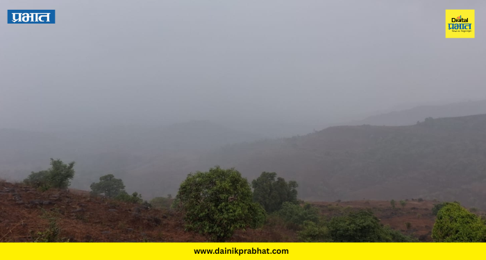 Shirur News : शिरूर तालुक्यात पावसाची हजेरी; शेतकऱ्यांमध्ये आनंदाचे वातावरण
