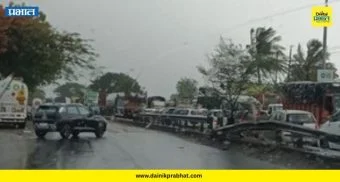 Tree Fall Incident : महामार्गावर कोसळलं महाकाय झाड! रुग्णवाहिकांसह शेकडो वाहने वाहतूक कोंडीत अडकली