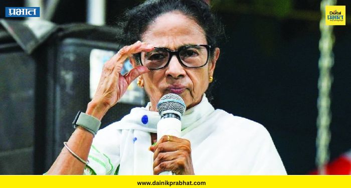 TMC MP resigns: बंगालनंतर ममता बॅनर्जी यांना दिल्लीतही मोठा धक्का ? ; 'हे' दोन राज्यसभा खासदार राजीनामा देणार ?