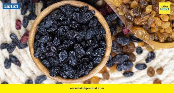 Raisins Benefits: तुम्हीही मनसोक्त मनुके खाताय? सावध व्हा... ९९ टक्के लोक रोज करतायत हीच चूक