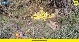 Shirur : तुकाराम मुंढेंच्या कारवाईचा धाक?; तांदळी शिवारात मुदतबाह्य खाद्यपदार्थांचा साठा फेकल्याने खळबळ