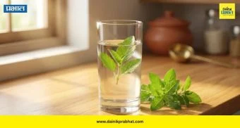 Tulsi Water: पोटाच्या तक्रारींपासून त्वचेच्या समस्यांपर्यंत; तुळशीच्या पानांचे 'हे' फायदे तुम्हाला माहिती आहेत का?