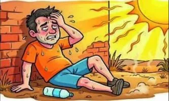 pune : पुण्यात उष्माघाताचे २ तर राज्यात ३०६ रुग्ण