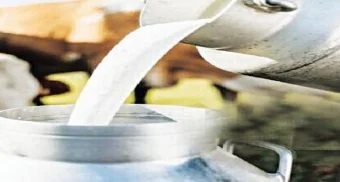 Pune District : राज्यातील सर्वात मोठे दूध भेसळ रॅकेट उद्ध्वस्त