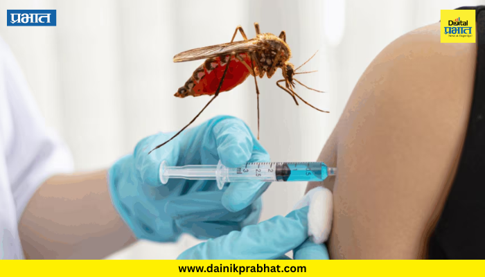 Dengue Vaccine : देशातील पहिल्या डेंग्यू लसीला केंद्राची मंजुरी; 'या' वयोगटातील लोकांना देणार लस