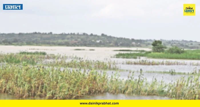 Ghod River Flood: शिरूर तालुक्यात घोडनदीचे रौद्ररूप! नदीकाठची पिके पाण्यात; २० हजार क्यूसेकने विसर्ग सुरू