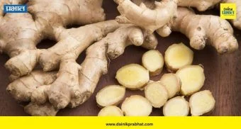 Ginger Benefits: फक्त चहातच नाही! त्वचा आणि केसांसाठीही आलं ठरू शकतं नैसर्गिक वरदान; जाणून घ्या २० जबरदस्त फायदे