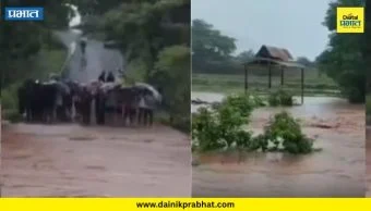 Karad News : मृत्यूनंतरही मरणयातना! अर्धवट जळालेला मृतदेह पुरात वाहून गेला; पाटण तालुक्यातील हृदयद्रावक घटना