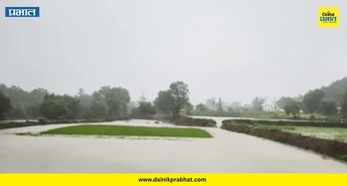 Mulshi Rain: मुळशीत पावसाच्या आगमनाने निसर्ग खुलला; निसर्गाचे सौंदर्य पाहण्यासाठी पर्यटकांची तुफान गर्दी