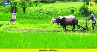 Natural farming : यशोगाथा ! कर्जमुक्तीची घोषणा; नैसर्गिक शेतीच्या माध्यमातून समृद्धीकडे वाटचाल
