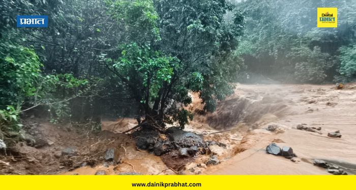 Tamhini Ghat : पुणे-कोलाड महामार्गावर दरड कोसळली; ताम्हिणी घाटातील प्रवास टाळण्याचे प्रशासनाचे आवाहन