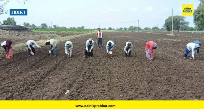 Shevgaon News : शेवगाव तालुक्यात खरिपाच्या पेरण्या आटोपल्या, मात्र खरीप हंगाम धोक्यात; शेतकरी दमदार पावसाच्या प्रतीक्षेत