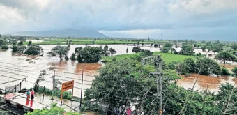 Heavy Rain: सततच्या पावसामुळे शेतकरी चिंतेत 