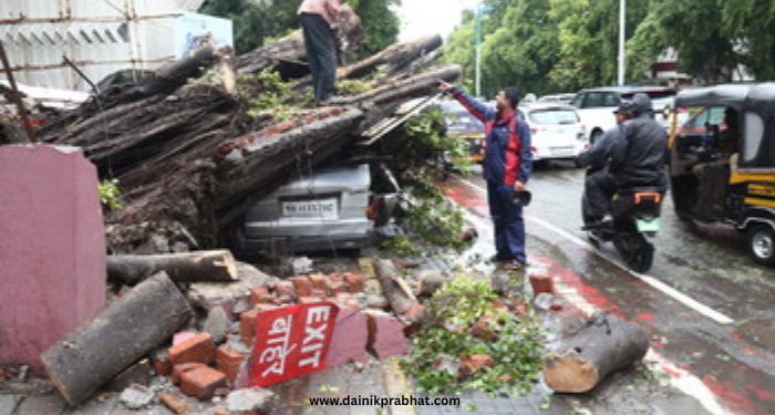 Tree collapse incidents