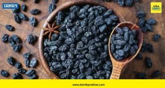 Black Raisins: महिनाभर काळे मनुके खाल्ले तर शरीरात दिसतील हे '५' मोठे बदल; जाणून घ्या तज्ज्ञ काय सांगतात