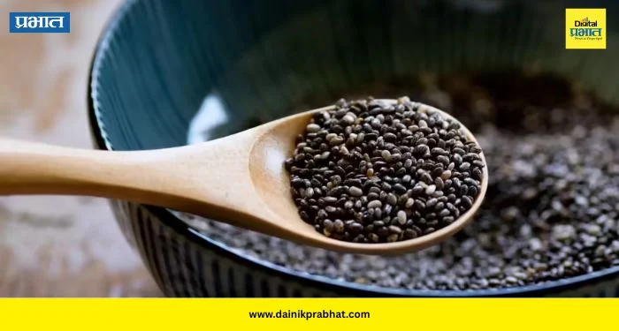 Chia Seeds: दिवसाची सुरुवात हेल्दी हवी? चिया सीड्सपासून तयार करा हे ४ पौष्टिक नाश्त्याचे पदार्थ
