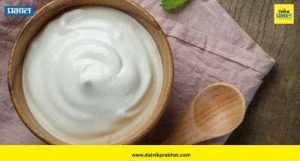 Health Benefits Of Eating Curd: दही खाण्याची योग्य वेळ कोणती? रात्री खाणे योग्य की अयोग्य? जाणून घ्या तज्ज्ञांचा सल्ला