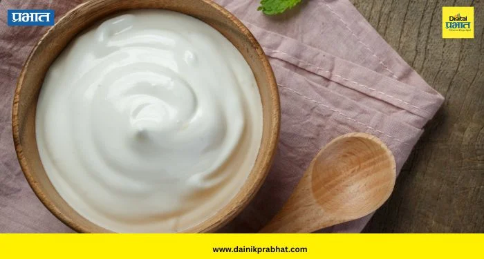 Health Benefits Of Eating Curd: दही खाण्याची योग्य वेळ कोणती? रात्री खाणे योग्य की अयोग्य? जाणून घ्या तज्ज्ञांचा सल्ला
