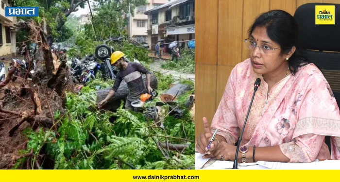 Pune news : शहरातील झाडपडीच्या घटनांना पर्यावरण प्रेमी जबाबदार? महापौर मंजुषा नागपुरे यांचं वक्तव्य चर्चेत !