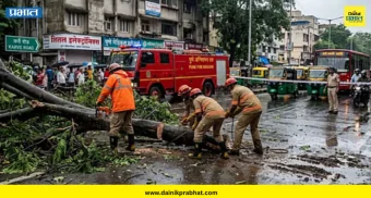 Pune news : पाच दिवसांत पुण्यात ९७ झाडपडीच्या घटना; अग्निशमन दलावर ताण