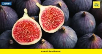 Fig Benefits: रोज फक्त १ अंजीर खा; अवघ्या १५ दिवसांत शरीरात दिसू शकतात हे आश्चर्यकारक बदल