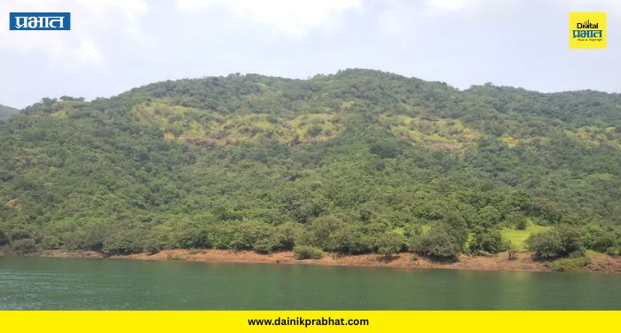 Pusegaon Forest Department: पुसेगाव वनविभागाचा शिकाऱ्यांना थेट इशारा! गुन्हा केल्यास होणार ७ वर्षांची जेल, पाहा नवीन नियम