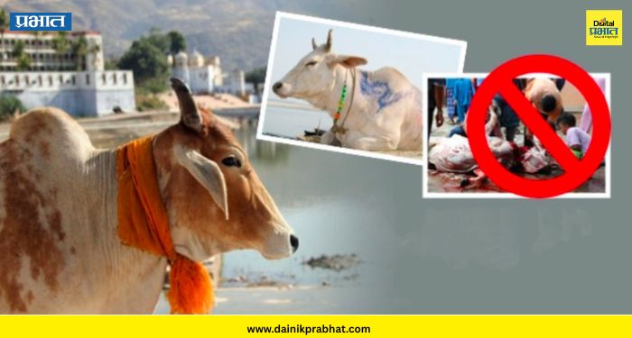 Ban on cow slaughter: गोहत्या बंदीवर सर्वोच्च न्यायालयाचा मोठा निर्णय ; मद्रास हायकोर्टाच्या आदेशाला स्थगिती