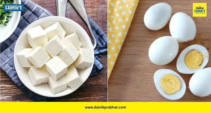 Paneer vs Eggs: 100 ग्रॅम पनीर की 2 उकडलेली अंडी? प्रोटीन, वजन कमी करणे आणि मसल्ससाठी नेमकं काय आहे अधिक फायदेशीर?