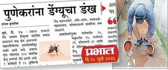 pune : डेंग्यू हटविण्यासाठी पालिका लागली कामाला