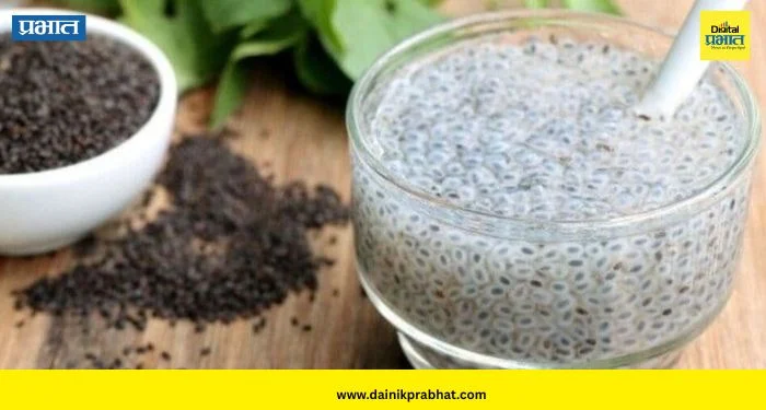 Basil Seeds: वजन कमी करायचंय? मग आहारात आजच करा ‘या’ बियांचा समावेश; मिळतील ‘हे’ जबरदस्त फायदे