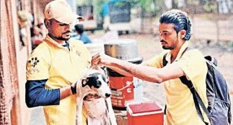 Pune District : भटक्या आणि पाळीव श्वानांचे 'रेबीज लसीकरण'