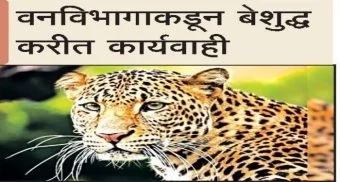 Pune District : इनामगावात नरभक्षक बिबट्या जेरबंद