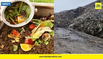 Compressed Biogas Production: ३०० टन ओल्या कचऱ्यावर मोफत प्रक्रिया? बीपीसीएलकडून तयारी