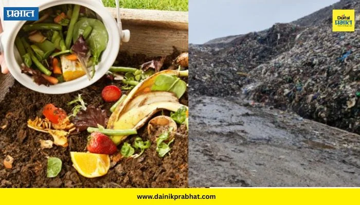 Compressed Biogas Production: ३०० टन ओल्या कचऱ्यावर मोफत प्रक्रिया? बीपीसीएलकडून तयारी