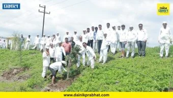 Pune District : स्मृती चिरंतन ठेवण्यासाठी पर्यावरणाचा संदेश; रामदास ढोमे यांच्या स्मरणार्थ वृक्षारोपण
