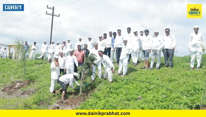 Pune District : स्मृती चिरंतन ठेवण्यासाठी पर्यावरणाचा संदेश; रामदास ढोमे यांच्या स्मरणार्थ वृक्षारोपण