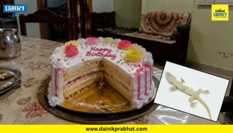 Birthday cake : वाढदिवसाच्या केकमधून ११ जणांना विषबाधा; मृत पाल दिसल्‍याने उडाली खळबळ