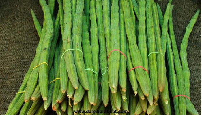 Moringa, Shevga