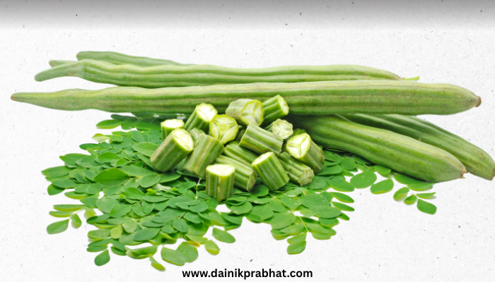 Moringa, Shevga