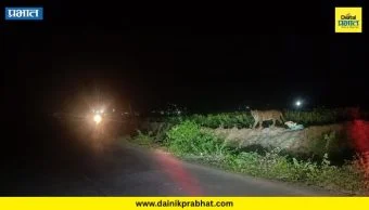 Nevase News : जेऊर हैबती गावात बिबट्याची दहशत; गावकऱ्यांमध्ये भीतीचे वातावरण