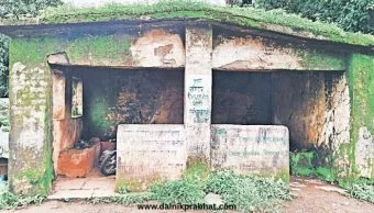Bhor News : छतावर झाडे, भिंतीवर शेवाळ अन् सापांची भीती