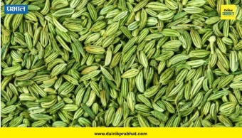 Fennel Seeds: स्वयंपाकघरातील ‘ही’ छोटी गोष्ट ठरतेय आरोग्यासाठी फायदेशीर; जाणून घ्या बडीशेप खाण्याचे फायदे!