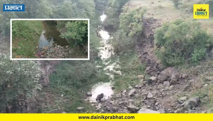 Kalas News : इंदापूरच्या पश्चिम भागातील कालवा-वितरिकांची दुरवस्था; जलसंपदा विभागाच्या दुर्लक्षामुळे शेतकरी नाराज